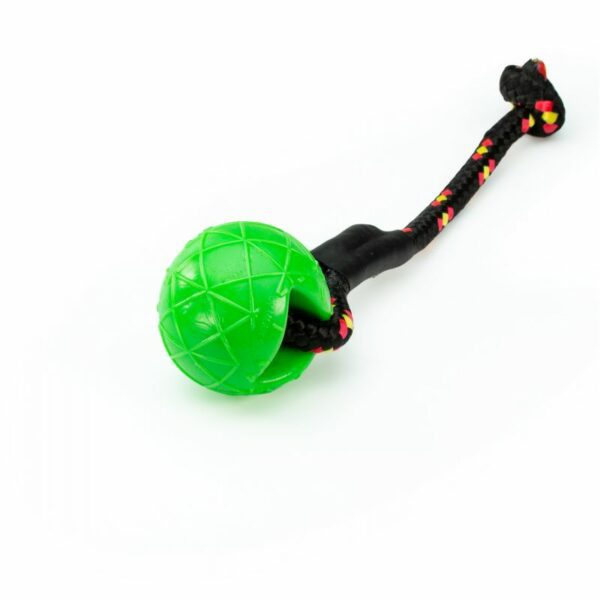 Moby Dog Ball Dogsport con passante di speed-Neon Green